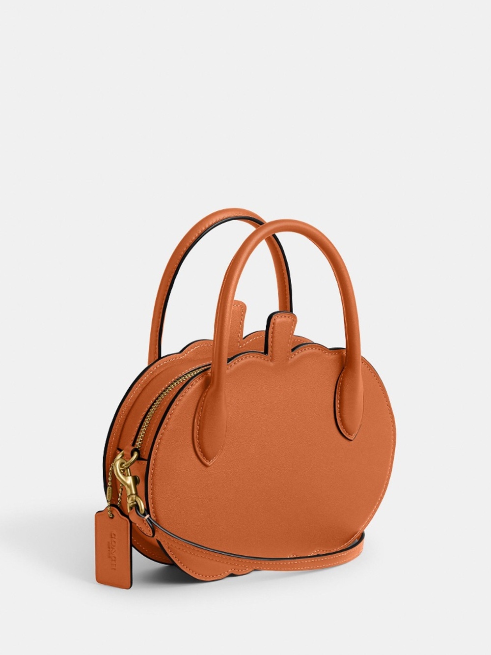 Coach Pumpkin Bag - Picture 11 of 12